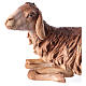Schaf, liegend, für 30 cm Krippe von Angela Tripi, Terrakotta s2