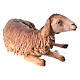 Schaf, liegend, für 30 cm Krippe von Angela Tripi, Terrakotta s4