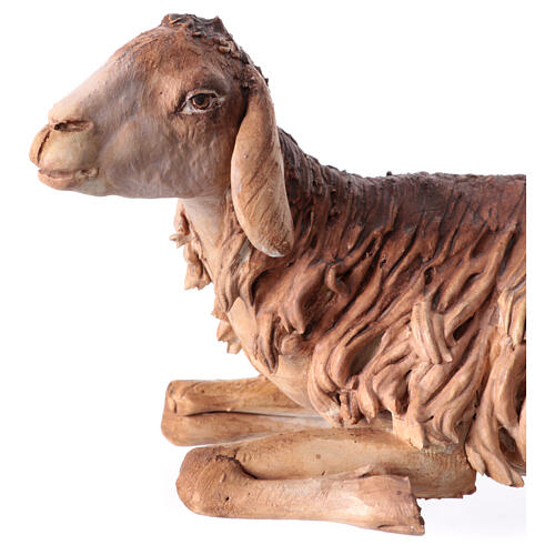 Lying sheep 30cm, Angela Tripi Nativity figurine 2