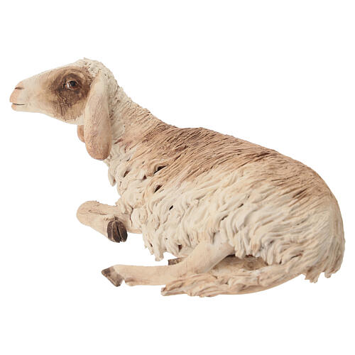 Lying sheep 30cm, Angela Tripi Nativity figurine 2