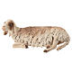 Pecora accovacciata 30 cm Presepe Angela Tripi s1