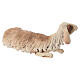Pecora accovacciata 30 cm Presepe Angela Tripi s4
