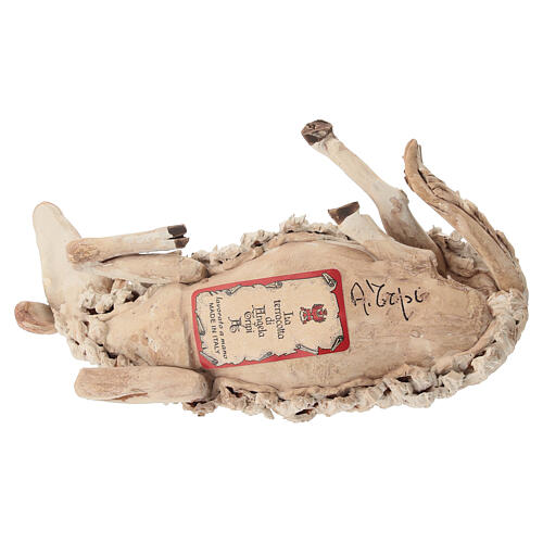 Lying sheep figurine 30cm, Angela Tripi Nativity 6