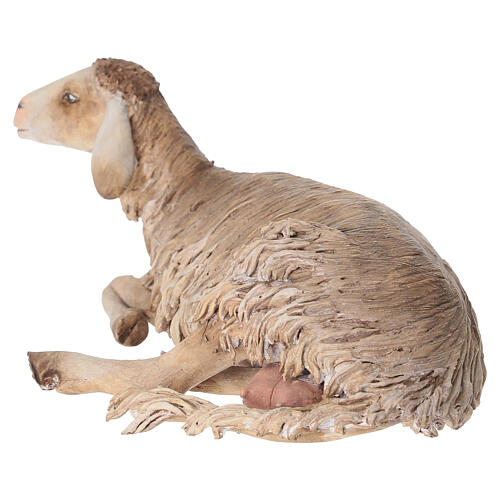 Lying sheep figurine 30cm, Angela Tripi Nativity 4