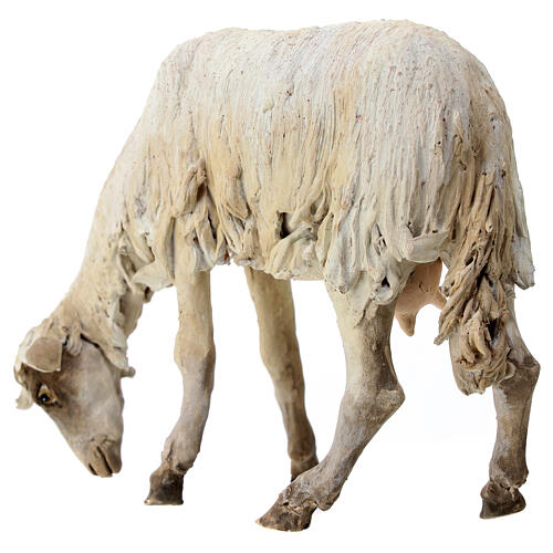 Weidendes Schaf, für 30 cm Krippe von Angela Tripi, Terrakotta 5