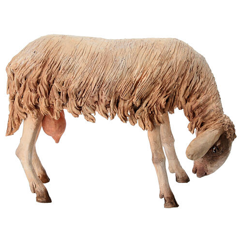 Weidendes Schaf, für 30 cm Krippe von Angela Tripi, Terrakotta 4