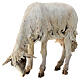 Weidendes Schaf, für 30 cm Krippe von Angela Tripi, Terrakotta s2