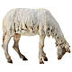 Weidendes Schaf, für 30 cm Krippe von Angela Tripi, Terrakotta s4