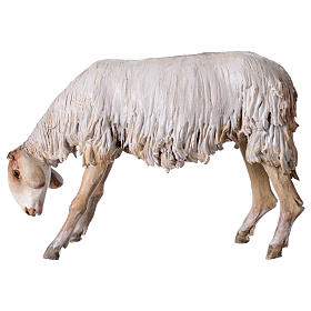 Nibbling Sheep 30cm Angela Tripi