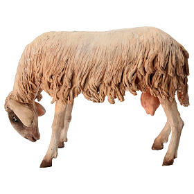 Mouton qui broute 30 cm crèche Angela Tripi