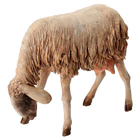 Mouton qui broute 30 cm crèche Angela Tripi