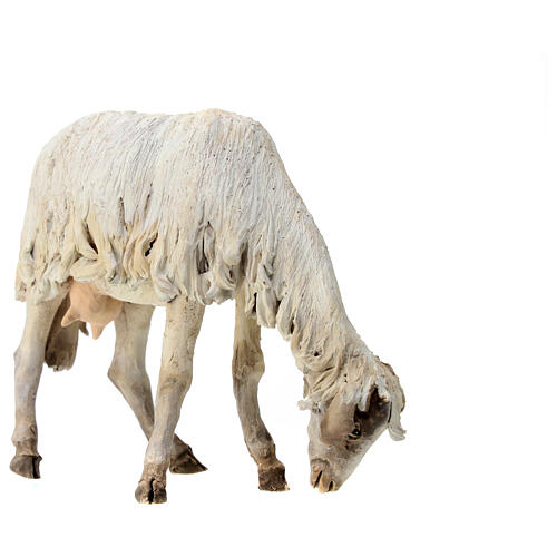 Mouton qui broute 30 cm crèche Angela Tripi 3