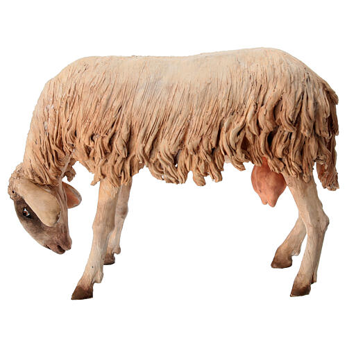 Mouton qui broute 30 cm crèche Angela Tripi 1