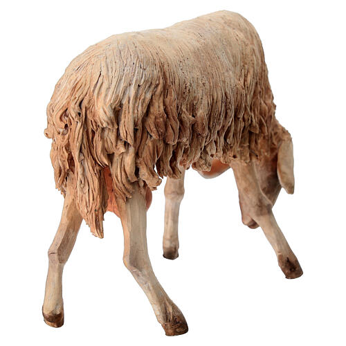 Pecora bruca 30 cm Presepe Angela Tripi 5