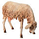 Nibbling Sheep 30cm Angela Tripi s3
