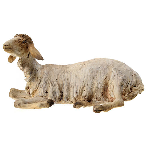 Schaf, ruhend, für 30 cm Krippe von Angela Tripi, Terrakotta 1