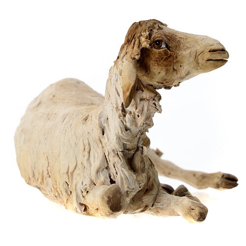Schaf, ruhend, für 30 cm Krippe von Angela Tripi, Terrakotta 2