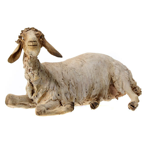 Schaf, ruhend, für 30 cm Krippe von Angela Tripi, Terrakotta 3