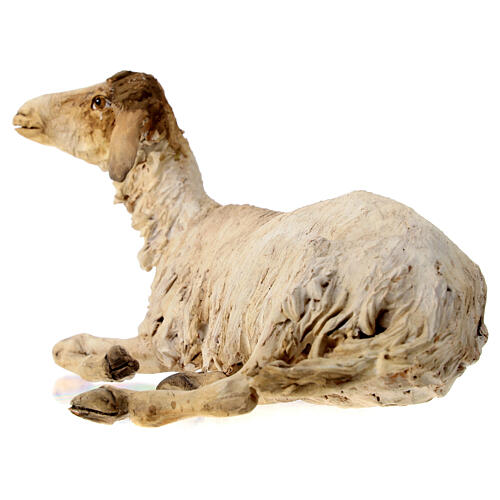 Schaf, ruhend, für 30 cm Krippe von Angela Tripi, Terrakotta 5