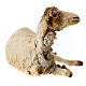 Schaf, ruhend, für 30 cm Krippe von Angela Tripi, Terrakotta s2