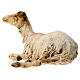 Schaf, ruhend, für 30 cm Krippe von Angela Tripi, Terrakotta s5