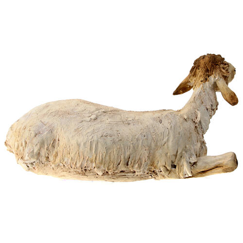 Sheep 30cm, Angela Tripi Nativity figurine 4