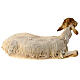 Sheep 30cm, Angela Tripi Nativity figurine s4