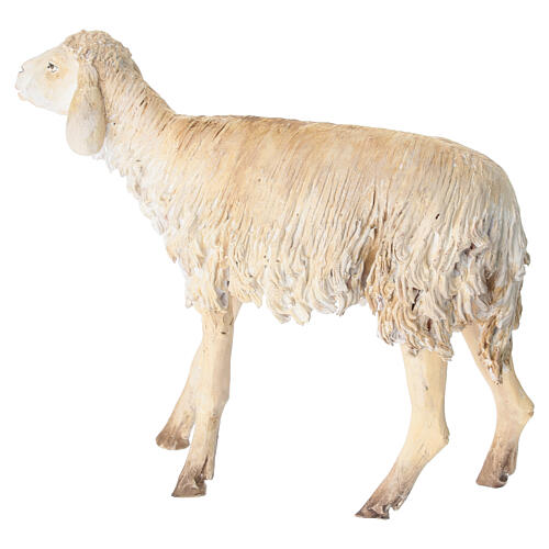 Pecora 30 cm Presepe Angela Tripi 4