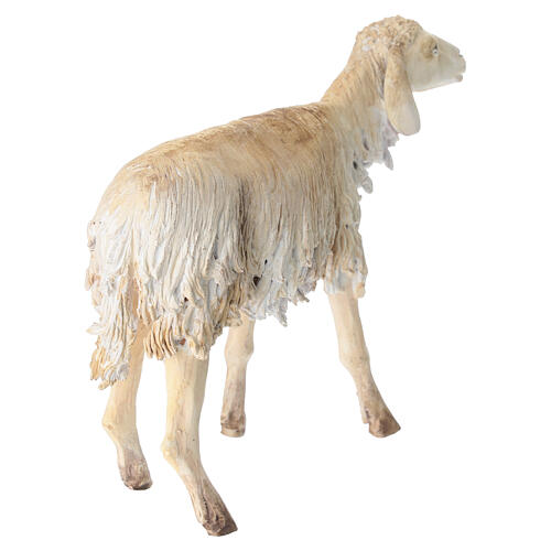 Pecora 30 cm Presepe Angela Tripi 5