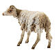 Stehendes Schaf, für 18 cm Krippe von Angela Tripi, Terrakotta s3