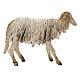 Stehendes Schaf, für 18 cm Krippe von Angela Tripi, Terrakotta s5