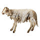 Mouton debout 18 cm crèche Angela Tripi s1