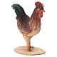 Rooster 30cm Angela Tripi s3