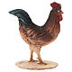 Gallo Presepe Angela Tripi 30 cm s4