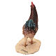 Gallo Presepe Angela Tripi 30 cm s5