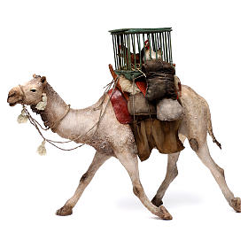 Kamel mit Käfig und Hühnern beladen, für 30 cm Krippe von Angela Tripi, Terrakotta