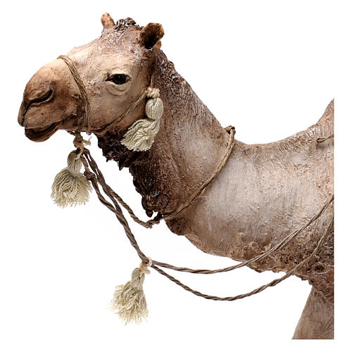 Camello con jaulas de gallinas Belén Angela Tripi 30 cm 2