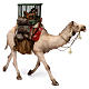 Camello con jaulas de gallinas Belén Angela Tripi 30 cm s3