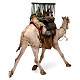 Camello con jaulas de gallinas Belén Angela Tripi 30 cm s4