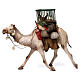 Camel with cages and hens 30cm Angela Tripi s1