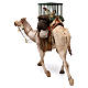 Camel with cages and hens 30cm Angela Tripi s6