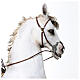 Horse with King 30cm Angela Tripi s8
