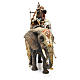 Elefante con Re e servo Presepe Angela Tripi 30 cm s4