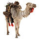 Kamel mit Last beladen, für 18 cm Krippe von Angela Tripi, Terrakotta s8