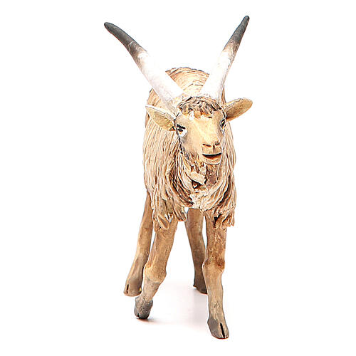 Male goat 18cm Angela Tripi 3