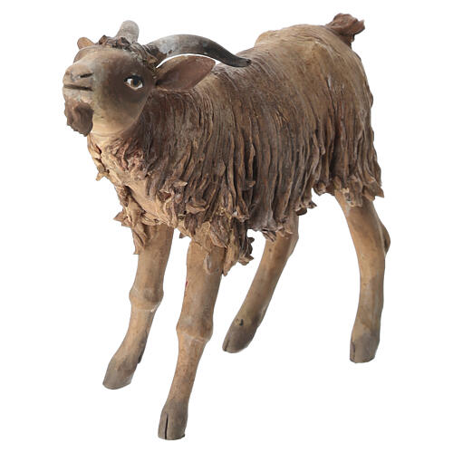Male goat 18cm Angela Tripi 3