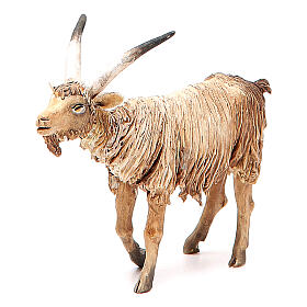 Male goat 18cm Angela Tripi