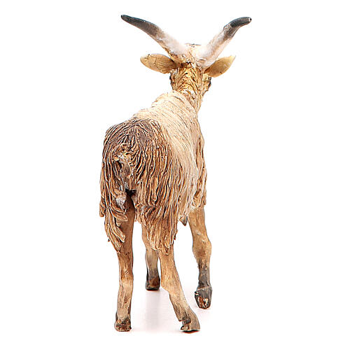 Male goat 18cm Angela Tripi 4