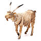 Male goat 18cm Angela Tripi s2