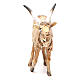 Male goat 18cm Angela Tripi s3